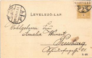 1901 Budapest, Duna részlet, Ferenc József híd, rakpart. Ganz Antal 27