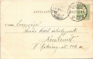 1905 Budapest V. Fővárosi vigadó. Divald Károly 247. sz