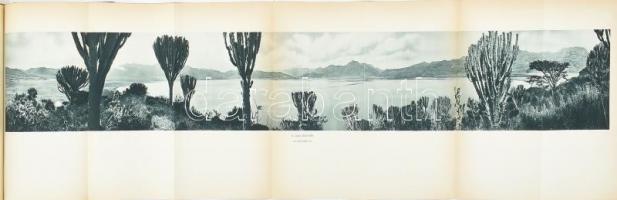 [Badoglio, Pietro (1871-1956)] Badoglio, Pietro: Az etiopiai háború. (Az abesszin háború.) A Duce el...