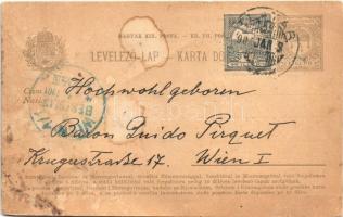 1901 Lobor, kastély / castle. photo glued on postcard (r)