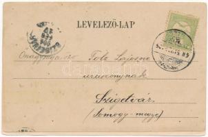 1904 Tátra, Magas-Tátra, Vysoké Tatry; Központi Kárpátok a Husz park díszkertje felől, kávéház / Die...