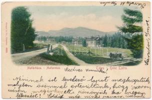 1902 Matlárháza, Matliary, Tatranské Matliare (Magas-Tátra, Vysoké Tatry); (b)