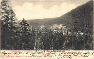 1906 Barlangliget, Höhlenhain, Tatranská Kotlina (Magas-Tátra, Vysoké Tatry); (fa)