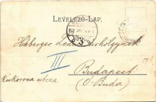 1901 Dobsina, Dobschau; Jégbarlangi szálló / Hotel an der Eishöhle / ice cave, hotel (EB)