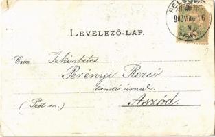 1902 Felsővisó, Viseu de Sus; Vasér völgye, Szikláspatak. Joerges A. özv. és fia kiadása / Vaser val...