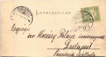 1903 Simony, Partizánske, Batovany; Öregház, várkastély. Elvira fényképészeti műterem kiadása / cast...