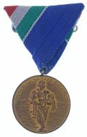 1954. 1954. évi Dunai Árvízvédelemért aranyozott Br kitüntetés mellszalaggal, tokban T:2
