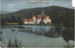 Beregvár, Karpaty, Karpati (Szentmiklós, Beregszentmiklós, Cinadievo, Chynadiyovo); Schönborn kastély. Niedermann kiadása / castle (b)