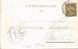 1901 Budapest, József tér, Étterem a Virágbokorhoz (Kommer Ferenc), Borpince Budafokon, Lánchíd. Art...