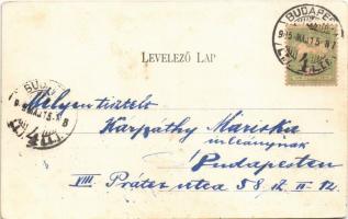 1905 Bölcske, Kossuth Lajos tér és utca, Spitzer Lajos üzlete és saját kiadása (EK)