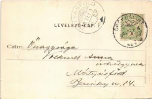 1905 Törökbálint, Török-Bálint; Kilátás a várhegyről és az urasági kastély. Scheiblinger Ferenc kiad...