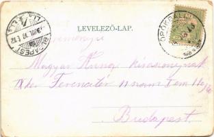 1903 Törökbálint, Török-Bálint; Kápolna, Villa telep (EM)