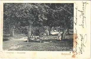 1903 Budakeszi, Virágvölgy. Stern Jakab kiadása (b)