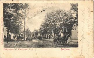 1904 Budakeszi, Erdő utca, lovaskocsi. Stern Jakab kiadása (fa)