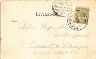 1904 Budakeszi, Erdő utca, lovaskocsi. Stern Jakab kiadása (fa)