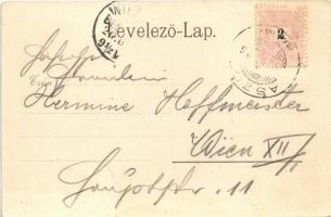 Aszód, Evangélikus leánynevelő intézet télen. Wahl Adolf kiadása (fl)