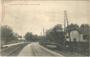 1906 Balatonberény, Déli vaspálya állomása, részlet az Armuth telepről, vasútállomás. Neumark Adolf kiadása (EB)