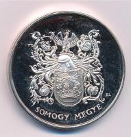 ~1990. Somogy megye / Somogy megye Közgyűlése ezüstözött fém emlékérem, dísztokban. Szign.: BL (42,5mm) T:1 (eredetileg PP) patina