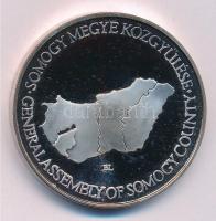 ~1990. "Somogy megye / Somogy megye Közgyűlése" ezüstözött fém emlékérem, dísztokban. Szig...