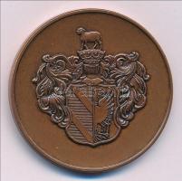 1997. "Szeged 750 éve város 1247-1997" Br emlékérem (42,5mm) T:1-