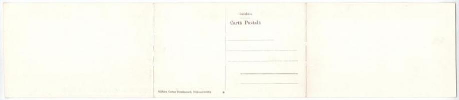 Dicsőszentmárton, Tarnaveni, Diciosanmartin; nitrogén gyár. Három részes kihajtható panorámalap / Ve...