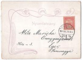 1901 Kolozsvár, Cluj; Fellegvár, Sétatéri mulató, Korcsolya csarnok, felsőbb leány iskola. Dunky Fiv...