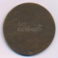 1935. "Királyi Magyar Automobil Club Részvételi Érem / K.M.A.C. Őszi Triál 1935" ezüstözöt...