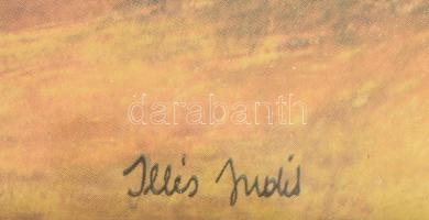 Üvegezett fa képkeret Illés Judit csendélet nyomattal. Belső méret: 49,3x68,7 cm