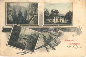 1907 Borszék, Borsec; Teleki kő, Lobogó fürdő, székház / spa, hotel, rock. Art Nouveau, floral (EK)