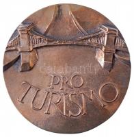 ~2010. Pro Turismo egyoldalas Br kitüntető plakett, eredeti tokban (97mm) T:1