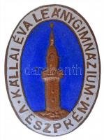 1959-1995. Kállai Éva Leánygimnázium - Veszprém zománcozott iskolajelvény (35x26mm) T:1-,2