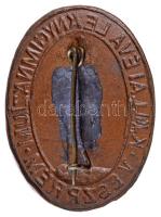 1959-1995. "Kállai Éva Leánygimnázium - Veszprém" zománcozott iskolajelvény (35x26mm) T:1-...