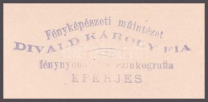 cca 1870 Lear király, fénynyomat Divald Károly eperjesi műterméből, kartonra kasírozva, hátoldalon p...