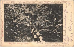 1903 Menyháza, Monyásza, Moneasa; kirándulók. Weisz Ignác kiadása / hikers