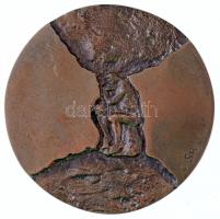 Csíkszentmihályi Róbert (1940-) 1973. "Eötvös Loránd-díj" Br érem (66-67mm) T:1,1- 
Hunga...