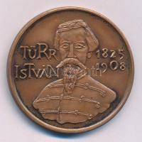 Lantos Györgyi (1953-) 1988. "MÉE XVIII. Vándorgyűlés - Baja / Türr István" Br emlékérem (...