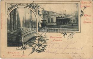 1900 Buziás, Sóhaj fasor, gyógyterem. Herrling Károly kiadása / spa, promenade. Art Nouveau, floral (Rb)