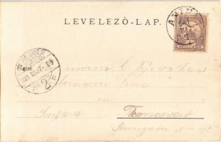 1901 Anina, Stájerlakanina, Stájerlak, Steierdorf; népviselet / folklore. photo