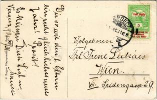 1914 Rajvonal / Schwarmlinie / WWI Austro-Hungarian K.u.K. military, swarm line (EB)