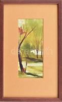 Gyenes jelzéssel: Őszi táj. Akvarell, papír. Üvegezett fa keretben. 16x6,5 cm.