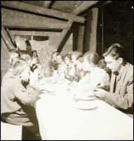 1956 Csillebérci úttörőtáborban, 30 db 6×9-es negatív, csíkokban