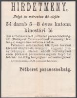 1901 Debrecen katonai pótkeretbe való lovak kiadásáról II. Vilmos 7. huszárezred. 22x24 cm