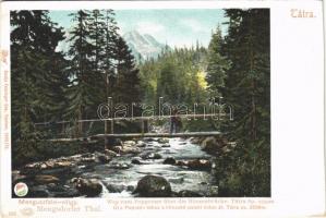 Tátra, Vysoké Tatry; Menguszfalvi-völgy, Út a Poprádi-tóhoz a Hinczkó pataki hídon át. Feitzinger Ede 265. 1902/12. / valley, wooden bridge