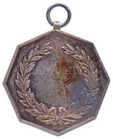 1893. "Magyar Úszó Egyestület" jelzett Ag emlékérem, mellszalag nélkül, "SGA" gy...