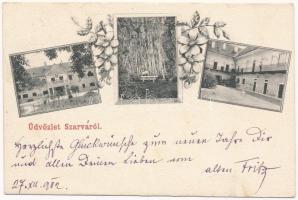 1902 Nagyszarva, Szarva, Velká Sarva, Rohovce; Illésházy kastély és udvara, park / castle, park, courtyard. Art Nouveau, floral