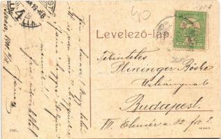 1908 Beregszász, Beregovo, Berehove; Royal szálloda, Mozgófénykép színház, mozi, polgári vendéglő, b...