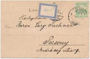 1901 Felsőszil, Nagy-Bresztovány, Brestovany; Gróf Saryusz-Zamoyski József kastélya / Gróf Jozef Sar...