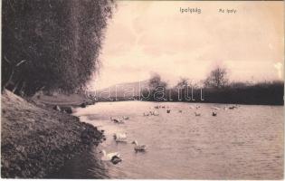 1907 Ipolyság, Sahy; Ipoly folyópart / Ipel riverside
