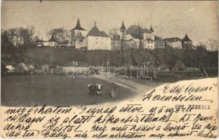 1905 Szentbenedek, Manastirea; Kornis kastély / castle (EK)