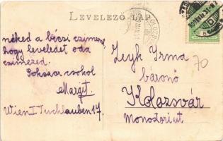 1909 Abafája, Abafaia, Apalina; Huszár kastély / castle (EK)